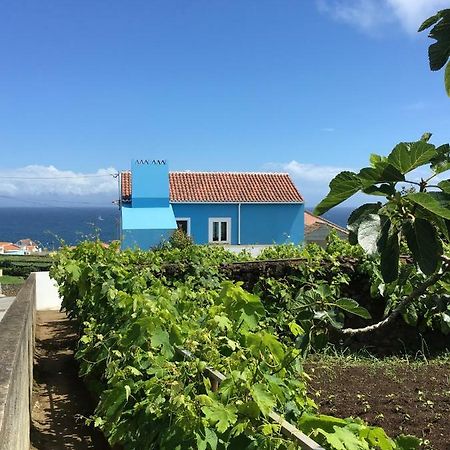 Porto Judeu Casa Do Vizinhoヴィラ エクステリア 写真