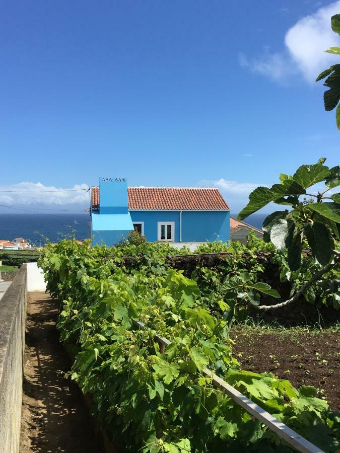 Porto Judeu Casa Do Vizinhoヴィラ エクステリア 写真